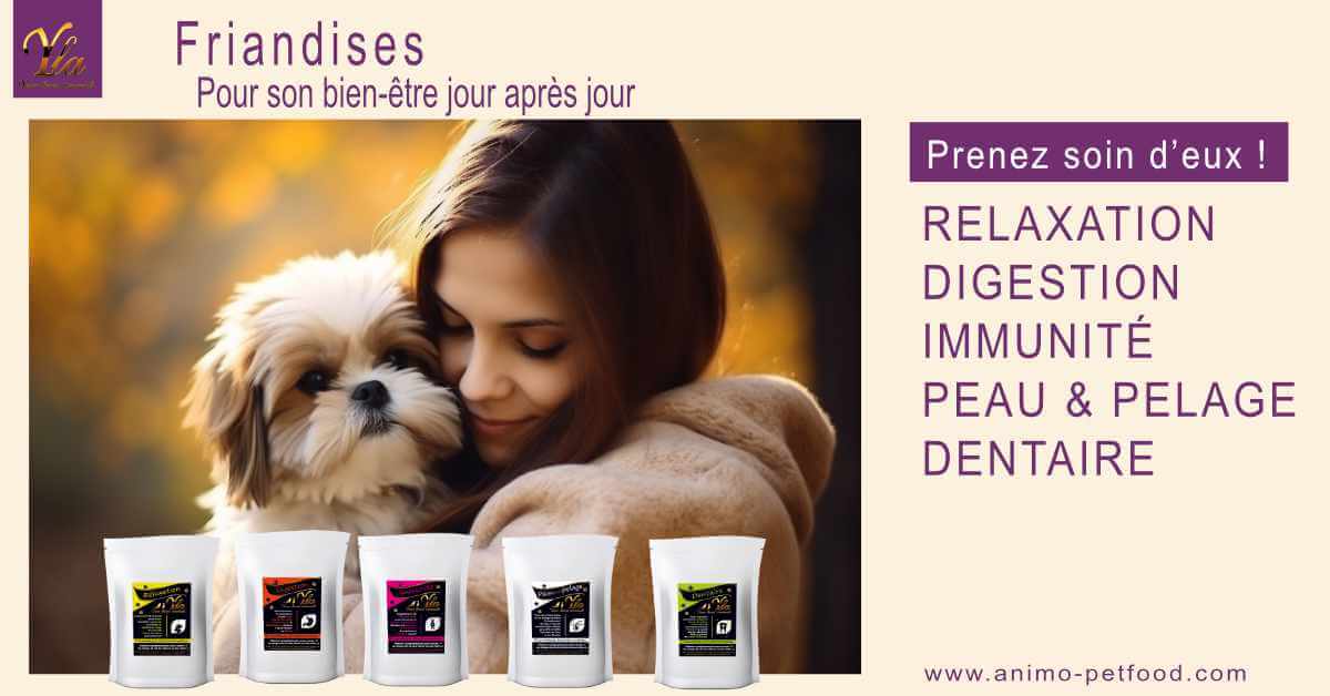 friandises-pour-chien-bien-etre-quotidien